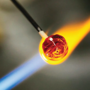 GlassRoots February Newsletter 2026